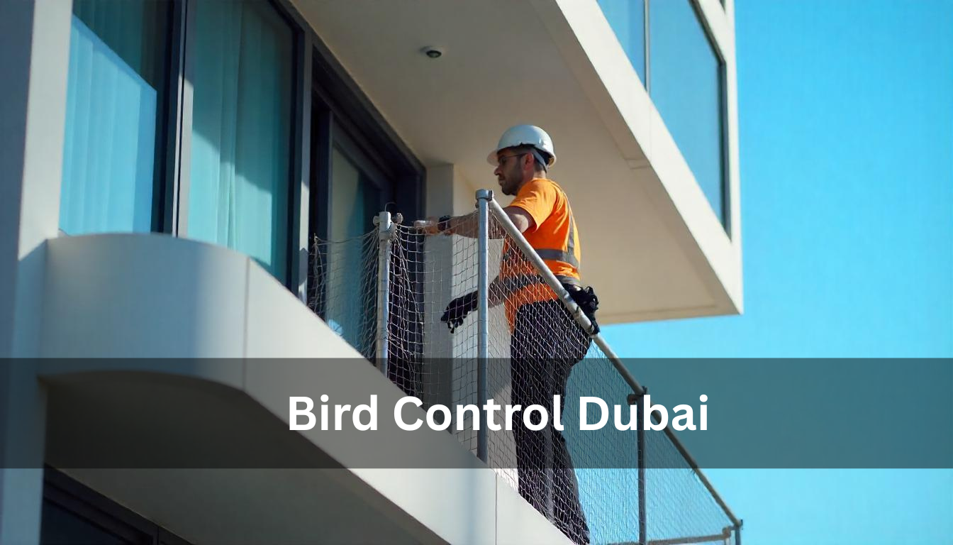 Bird Control Dubai | Professional Pest Management Services